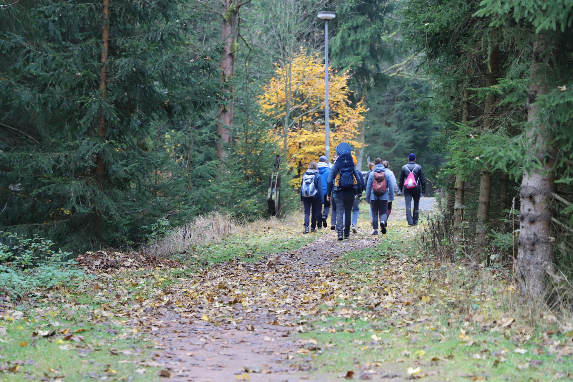 Wandern